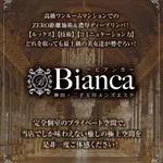 二子玉川メンズエステ Bianca（ビアンカ）